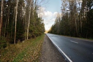 Fototapeta na wymiar Highway in the autumn forest