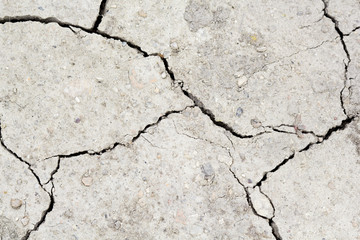 Cracked soil - texture and background