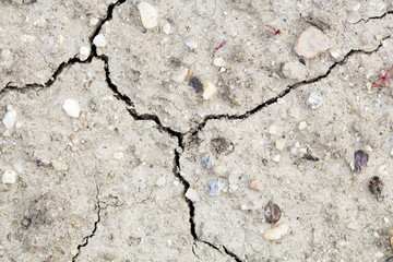 Fototapeta premium Cracked soil - texture and background