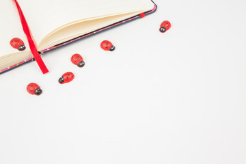 Having fun with small toy ladybugs. Happy joyfully template notebook. Nop view from above