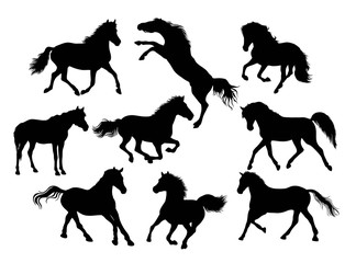 Horse Silhouettes, illustration art vector design