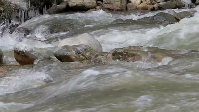 Mountain river in summer