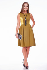 Beautiful sexy fashion stylish brunette woman business lady natural makeup wearing clothes for elegant silk cotton dress leather accessories shoes bag casual style collection catalog white background.