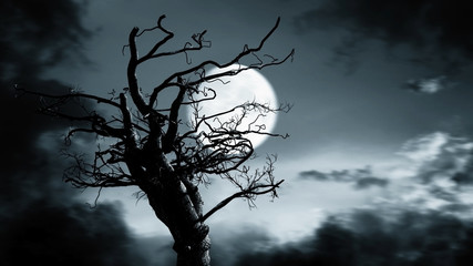 Mystical Moon Night. Spooky Tree Silhouette