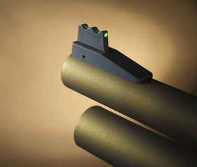 Shotgun's front sight