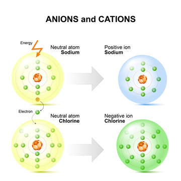 Anions and cations for example sodium and chlorine atoms.