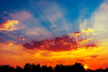 Obraz premium colorful sunset over the silhouette of the forest, with rays behind the cloud.
