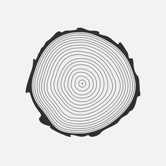 Cross section of tree stump, isolated on white background. Vector illustration, eps 8.