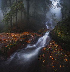 Beautiful waterfall in misty autumn forest