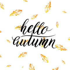 Fototapeta na wymiar Hello autumn text isolated on orange leaves background, hand painted vector, autumnal lettering on autumn leaf oak for card, poster, banner, print, handwritten quotes