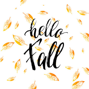 Hello fall text isolated on orange leaves background, grunge hand painted letter, vector autumnal lettering on yellow leaf for card, poster, banner, print, handwritten quotes