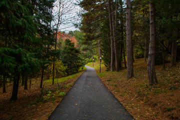 Naklejka premium парк