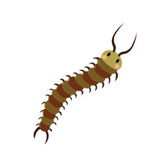 Cute Centipede animal cartoon character. Isolated on white background. Vector illustration.