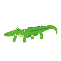 Fototapeta premium An alligator cartoon character. Isolated on white background. Vector illustration.