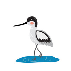 An avocet standing in water cartoon character. Isolated on white background. Vector illustration.