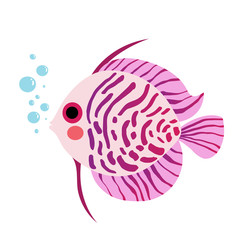 Purple Discus Fish animal cartoon character. Isolated on white background. Vector illustration.
