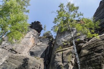 Affensteine, Nationalpark Sächsische Schweiz