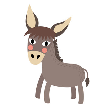 Donkey animal cartoon character. Isolated on white background. Vector illustration.