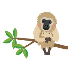 Gibbon animal cartoon character. Isolated on white background. Vector illustration.