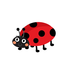 Ladybird animal cartoon character. Isolated on white background. Vector illustration.