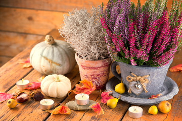 Herbst Dekoration mit Heide und Kürbis 
