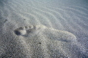 foot