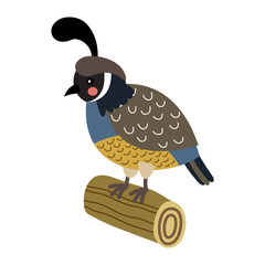 Quail bird perching on wood log animal cartoon character. Isolated on white background. Vector illustration.