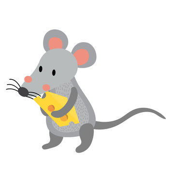 Rat holding cheese animal cartoon character. Isolated on white background. Vector illustration.