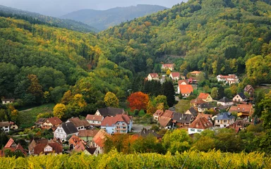 Foto op Canvas View of village from the hill in autumn, Alsace, Fran © ptashkan