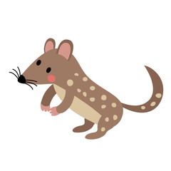 Standing Quoll animal cartoon character. Isolated on white background. Vector illustration.