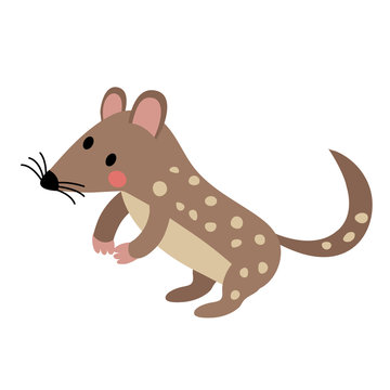 recommend clip art: Standing Quoll animal cartoon character. Isolated on white background. Vector illustration.