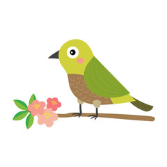 Uguisu bird bird perching branch animal cartoon character. Isolated on white background. Vector illustration.