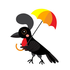 Umbrellabird animal cartoon character. Isolated on white background. Vector illustration.