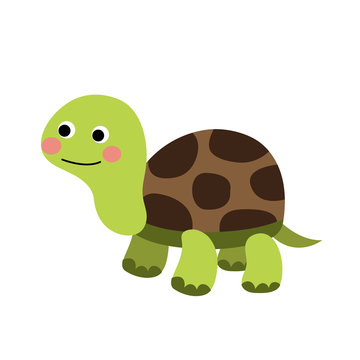 Turtle animal cartoon character. Isolated on white background. Vector illustration.