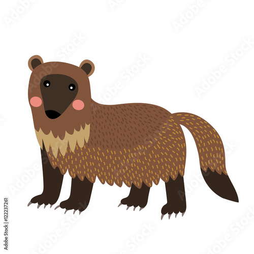 "Wolverine animal cartoon character. Isolated on white background