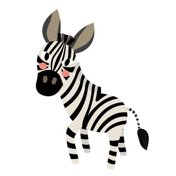 Zebra animal cartoon character. Isolated on white background. Vector illustration.