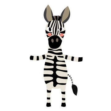 Zebra standing on two legs animal cartoon character. Isolated on white background. Vector illustration.
