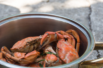 Fresh boiled crabs with herbs in steel pot, front view, room for