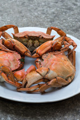 Red boiled crabs on white dish, front view, room vor text