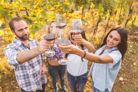 Friends standing and toasting with wine in an Italian vineyard