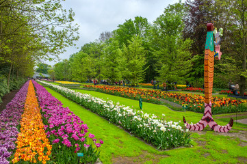 Tulipe au keukenhof - pays bas
