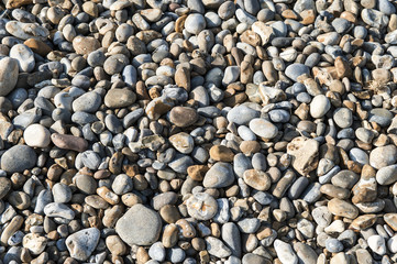 Pebbles on Beach