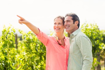 Happy couple standing in vineyard and pointing - Powered by Adobe