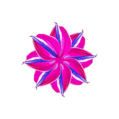 Artificial Orquidea Isolated