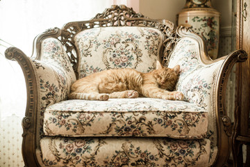 Aztec the king of the arm chair