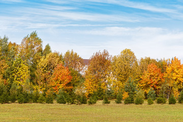 .beautiful autumn panoramic view of the village