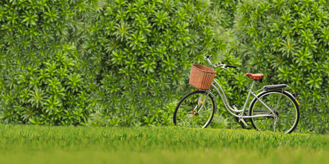 Bicycles on the green grass