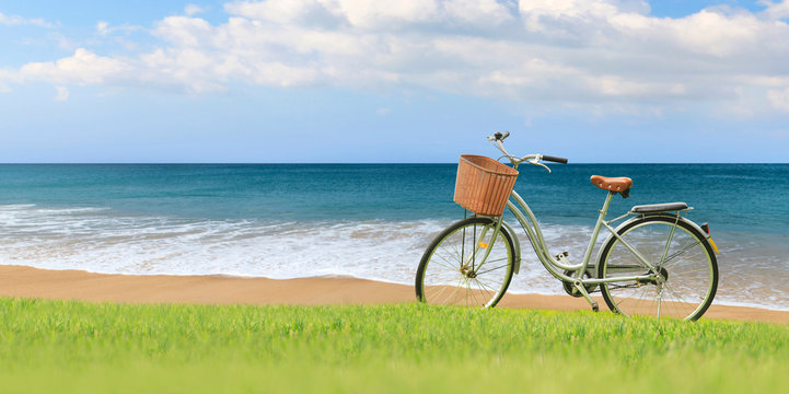 Fototapeta Bicycles on the green grass