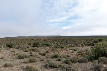 In The Dry Karoo - Fraserburg Landscape