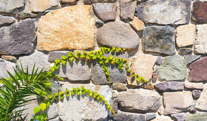 A texture of an old stone wall with some plants on it..